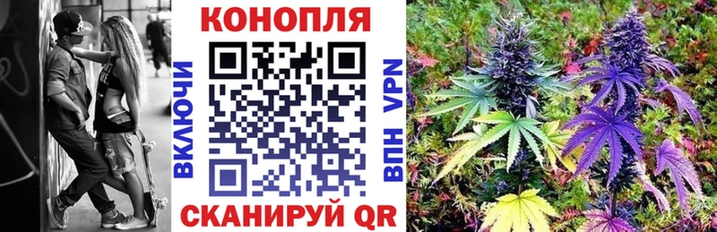 Бошки Шишки план  Иланский 